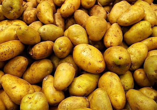 تصویر 1 از قیمت خرید سیب زمینی عمده + فروش ویژه